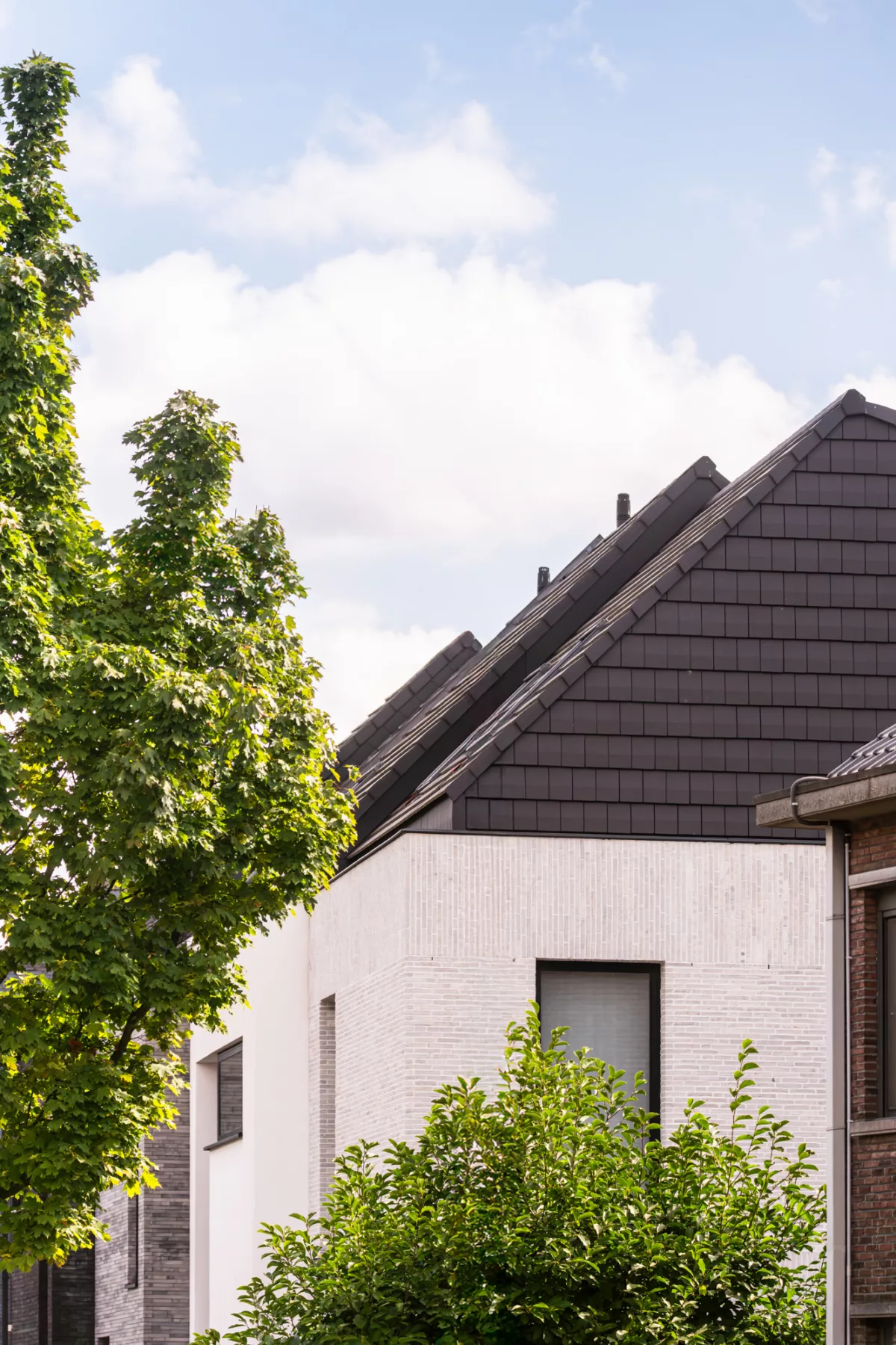 GENUS CEBU EDEGEM FULL 20250821 0008